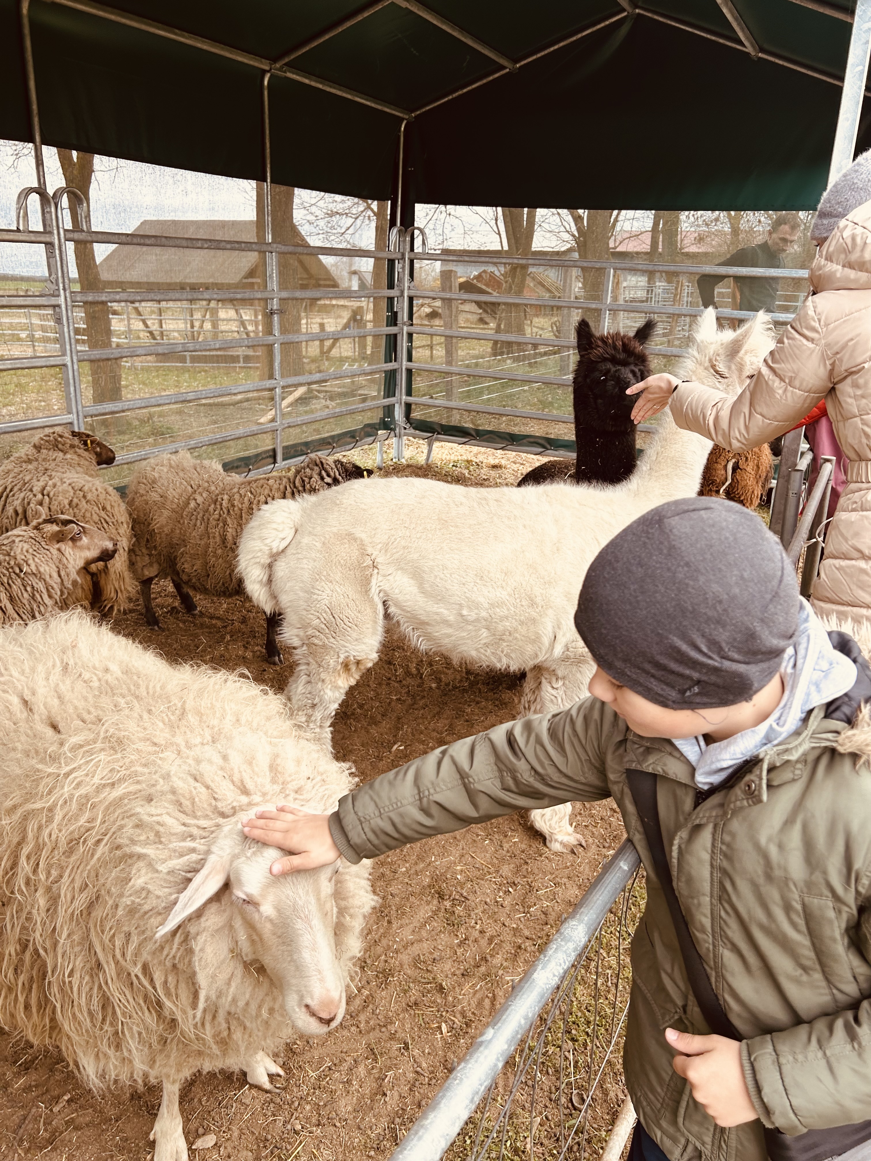 Fotogalerie Velikonoce 4.4.2026